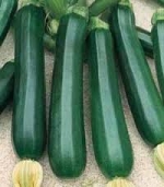 Nano Verde di Milano